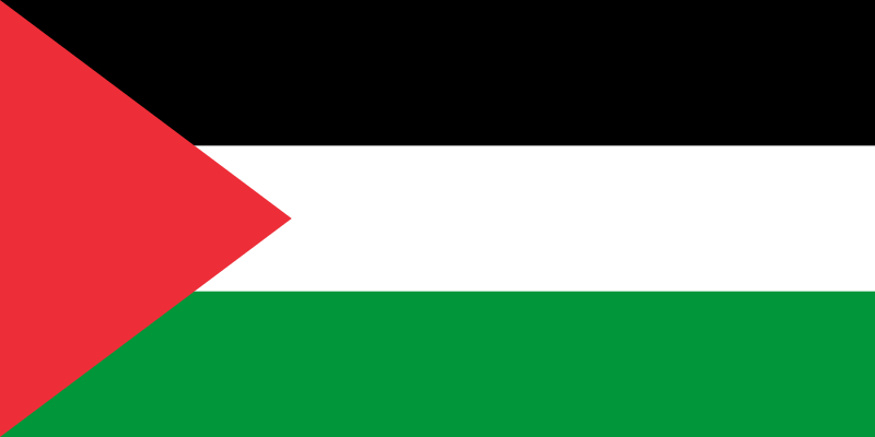 Unknown Palestinian Mother
