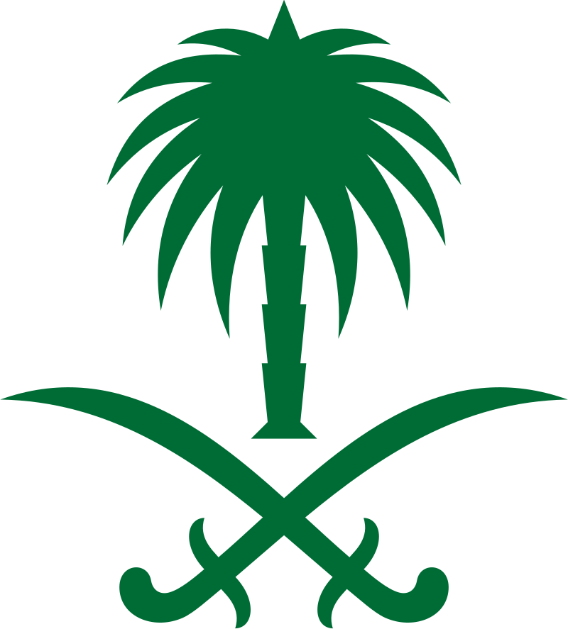 Unknown Saudi