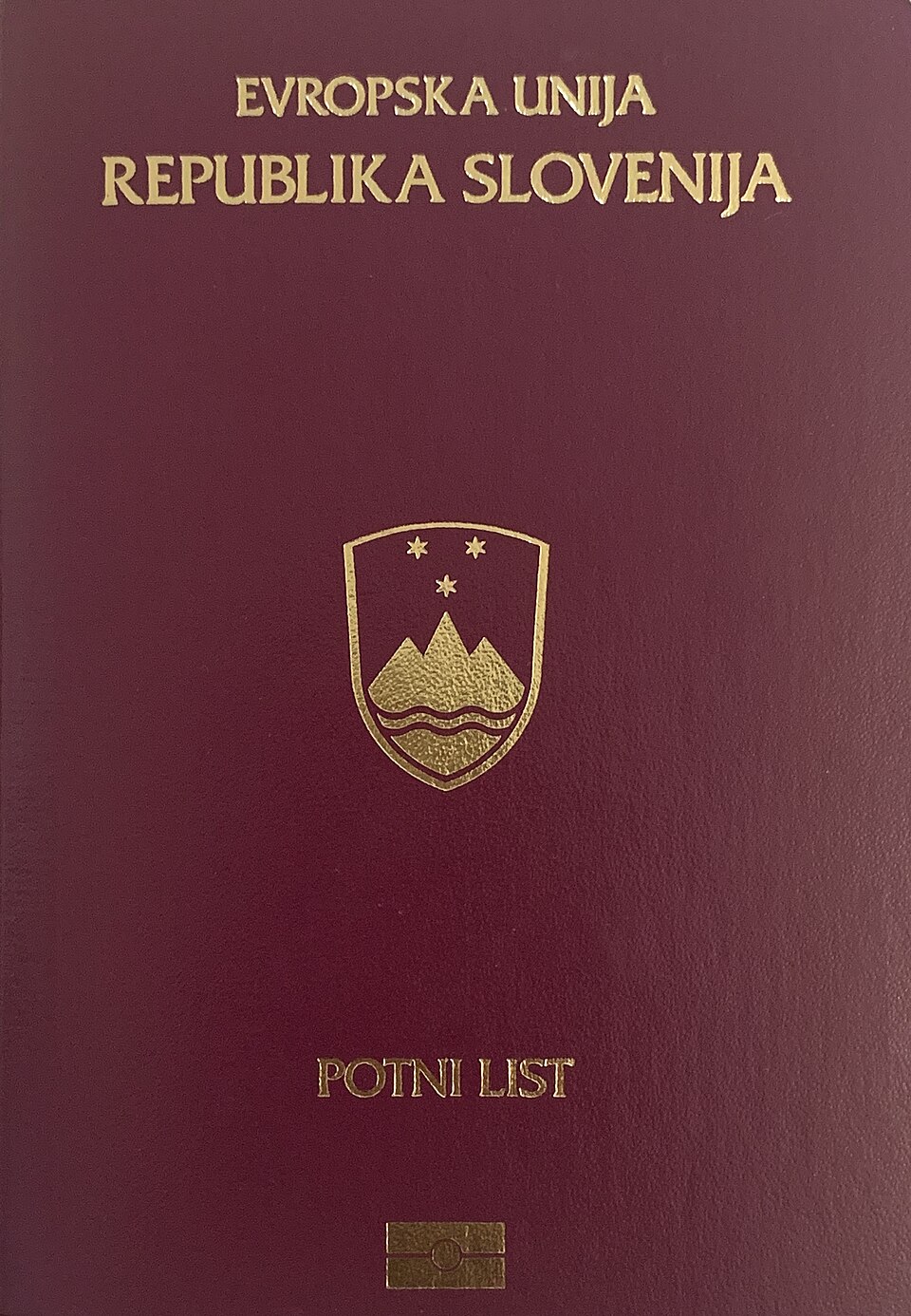 Unknown Slovenian Citizen