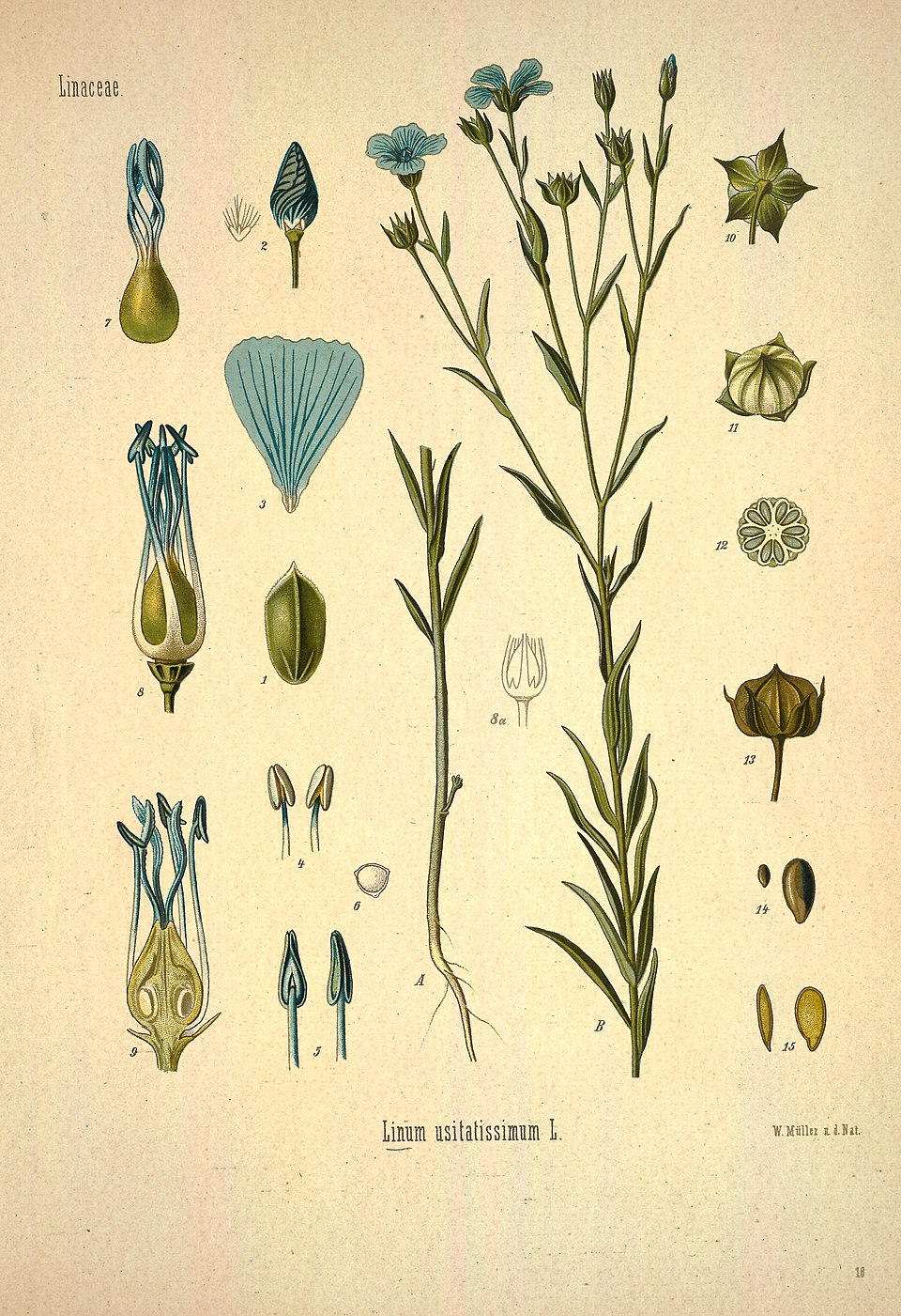 UNSPUN