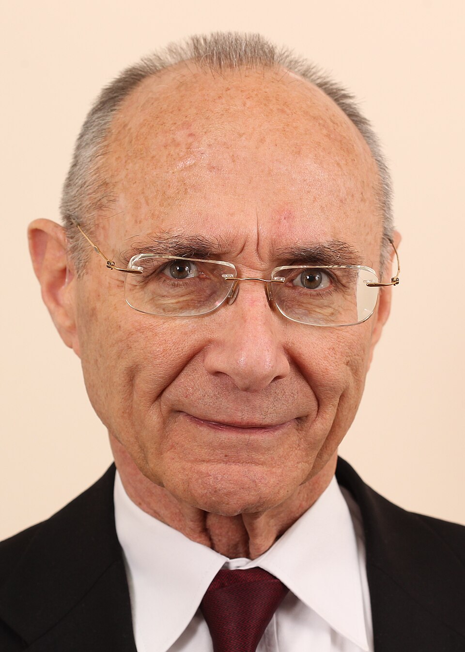 Uzi Landau
