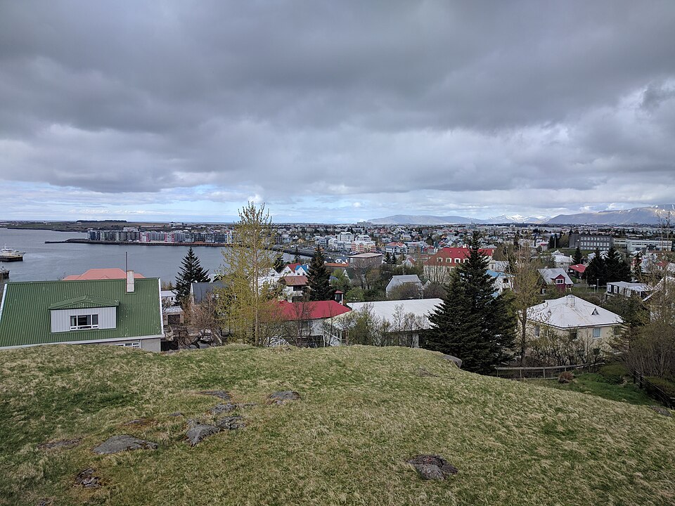 Valdimar Víðisson