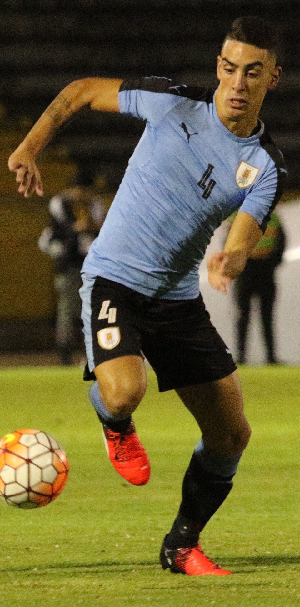 Vasco Rodríguez