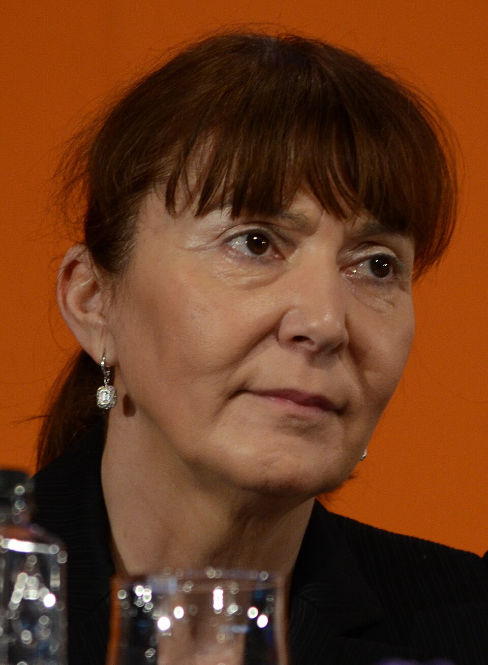 Vasile Macovei