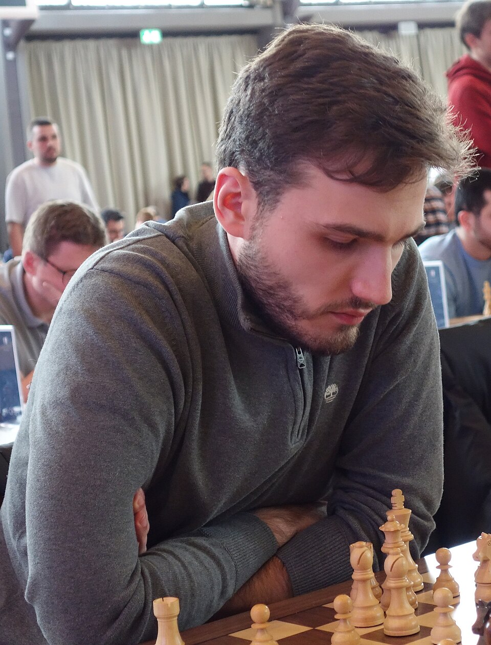 Velimir Ivic
