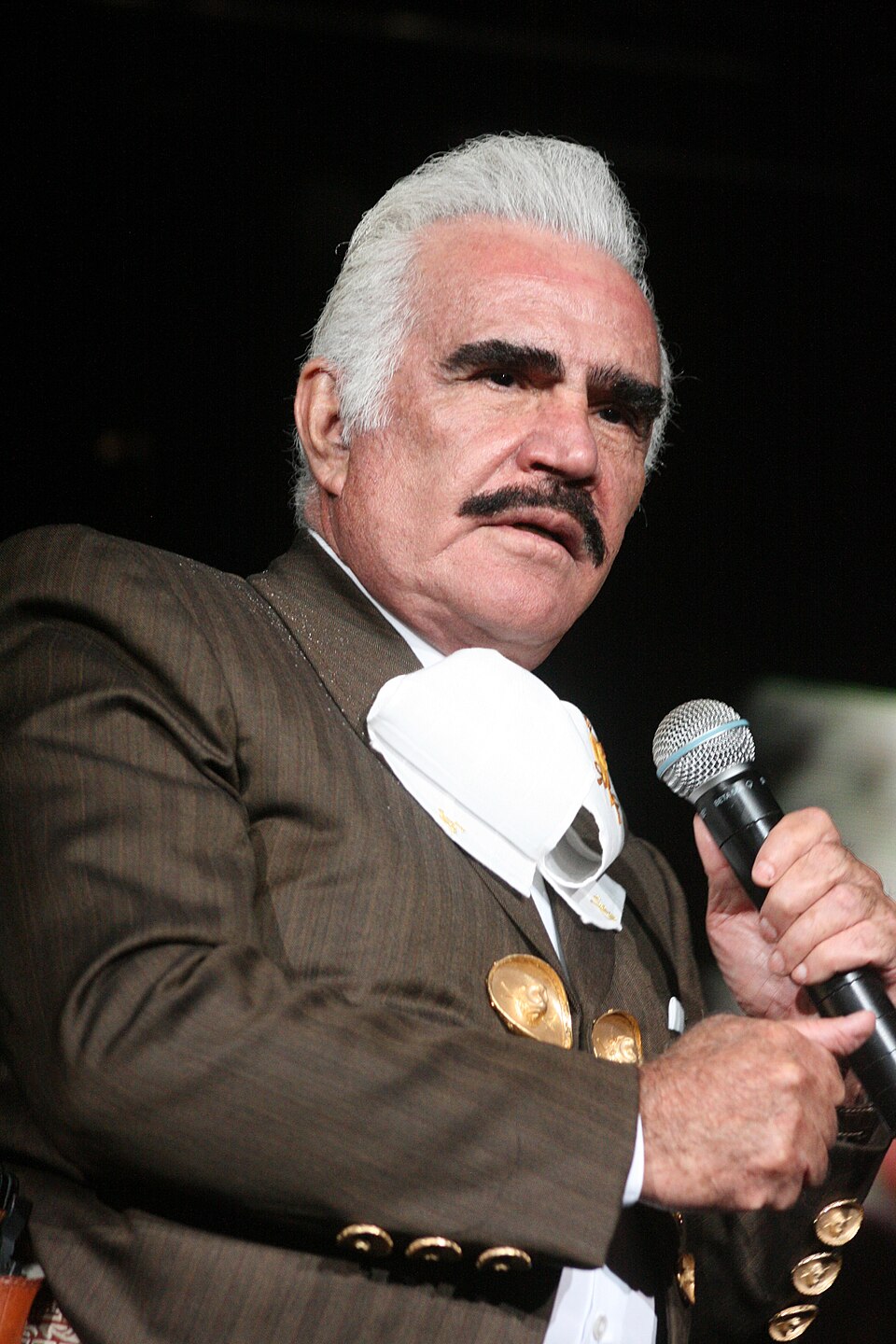 Vicente Villaseñor
