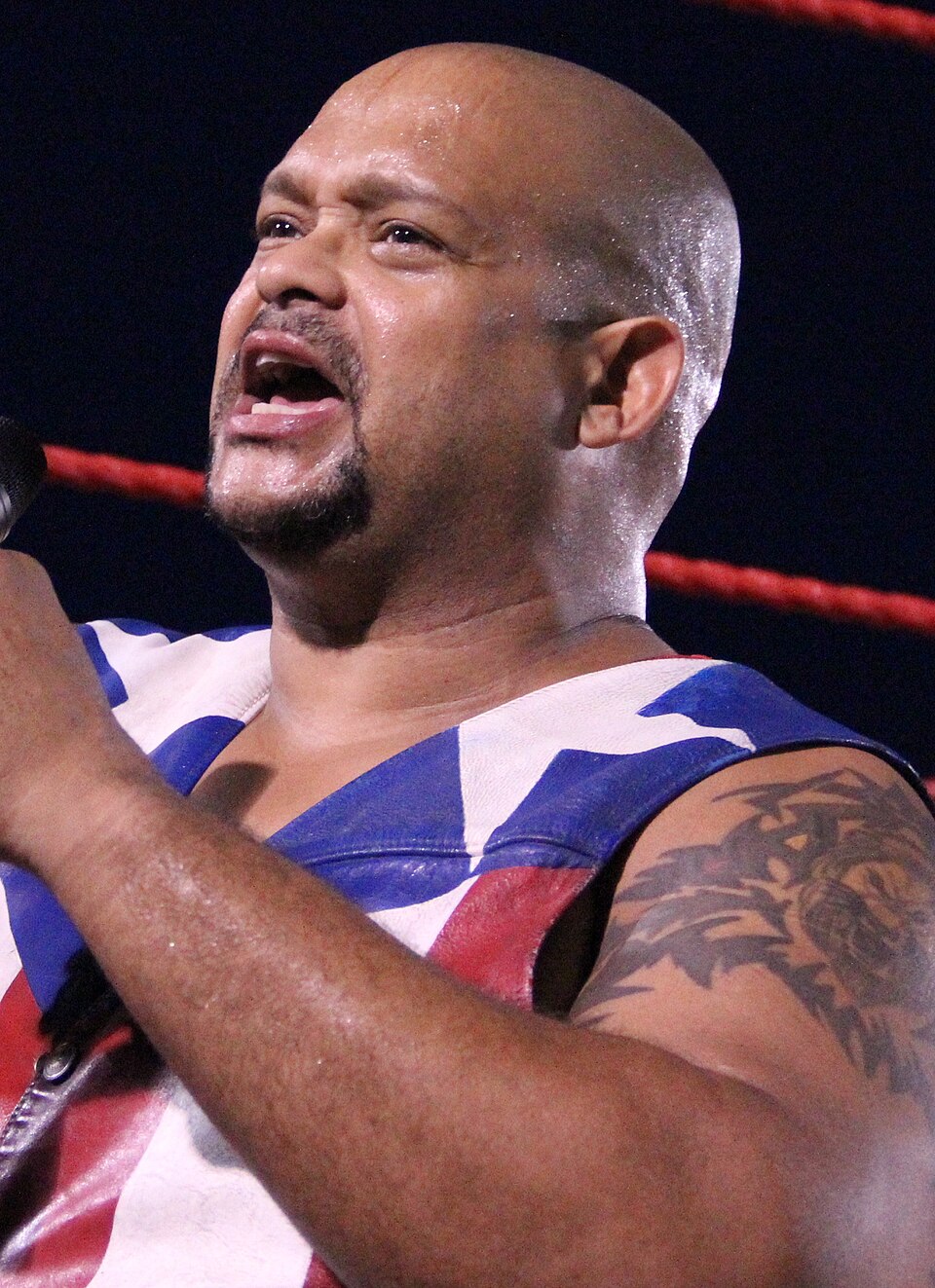 Víctor Vega