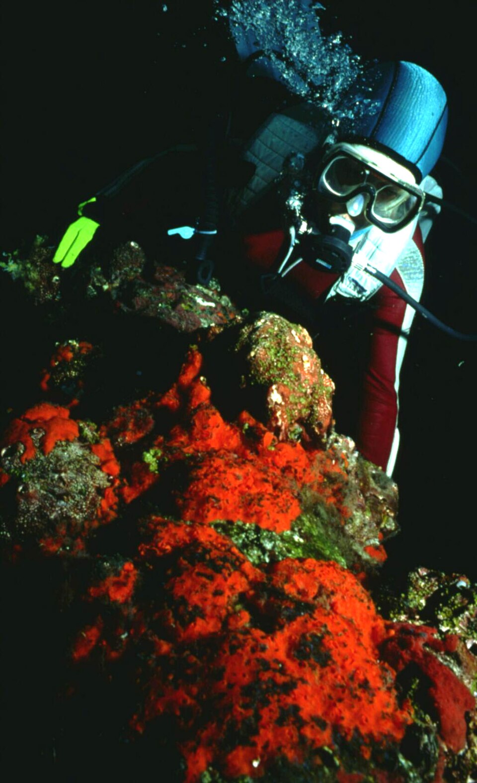 Victoria Camilieri-Asch