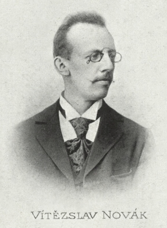 Viktor Novák