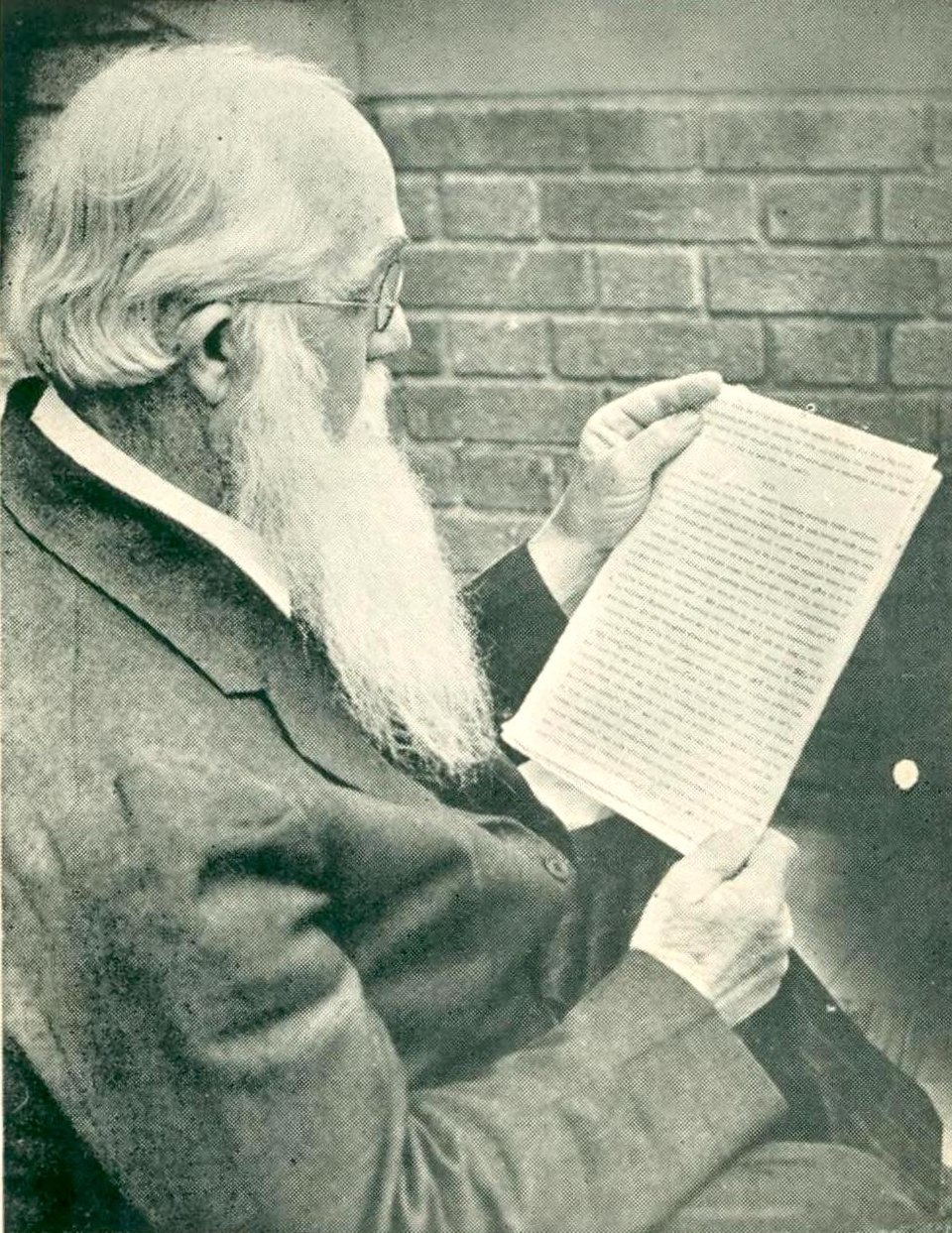 Vincent Trim