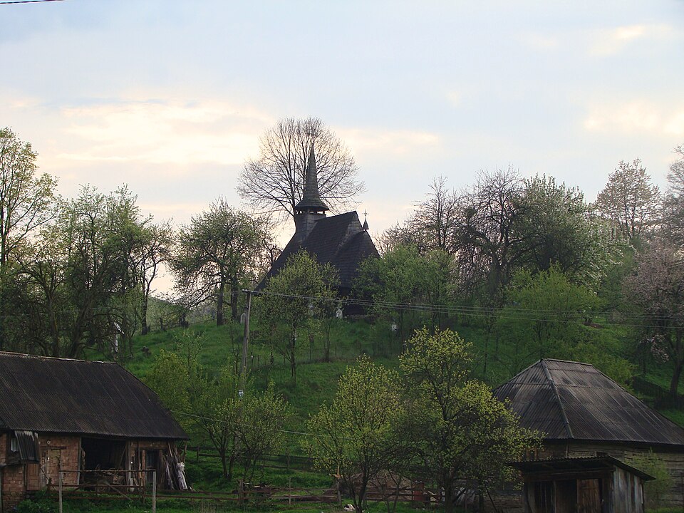 Viorel Pașca