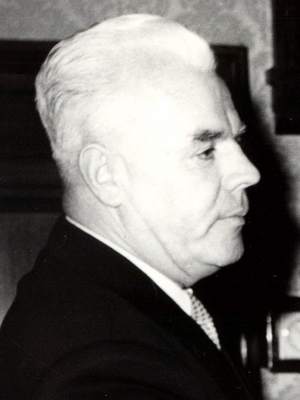 Vladimir Janić