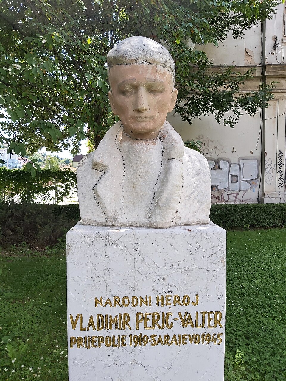 Vladimir Perić Valter