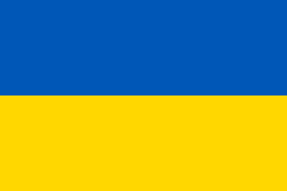 Vladyslava Romaniuk