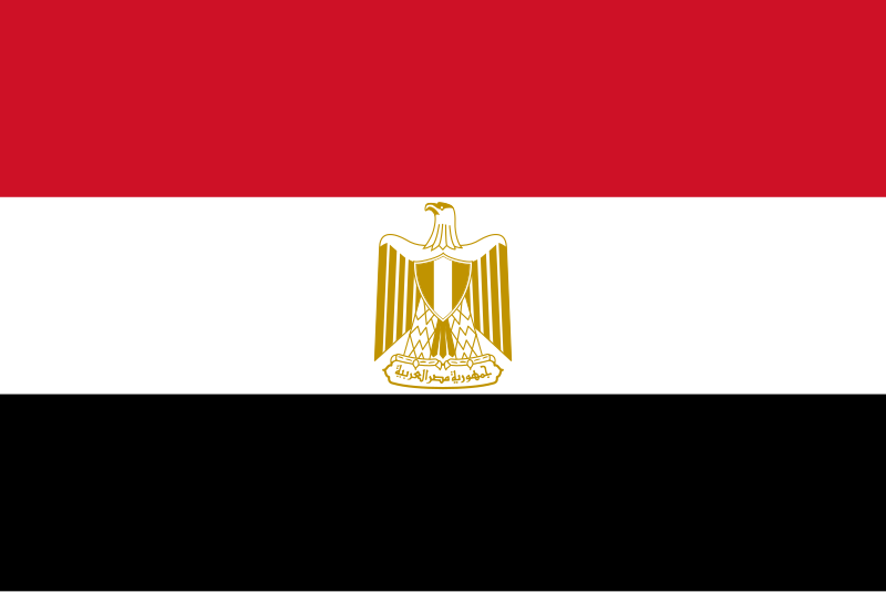 Wael Ahmed Abdel Kader