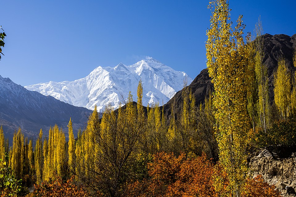 Wajidullah Nagri