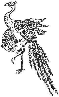 Wang Luan