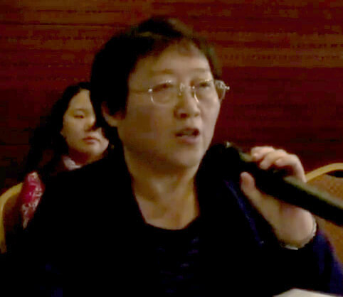 Wang Yinhe