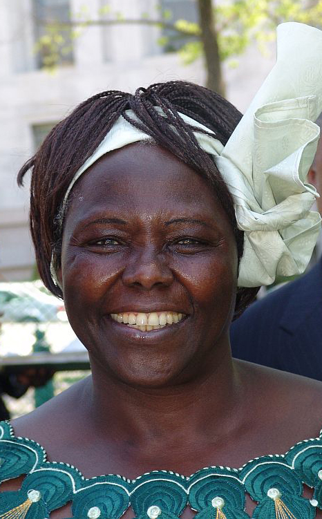 Wangari