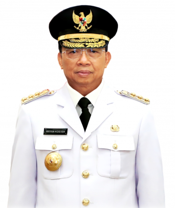 Wayan Koster