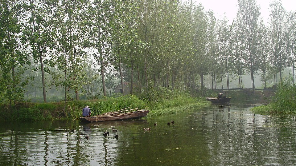 Wei Zhaoyang