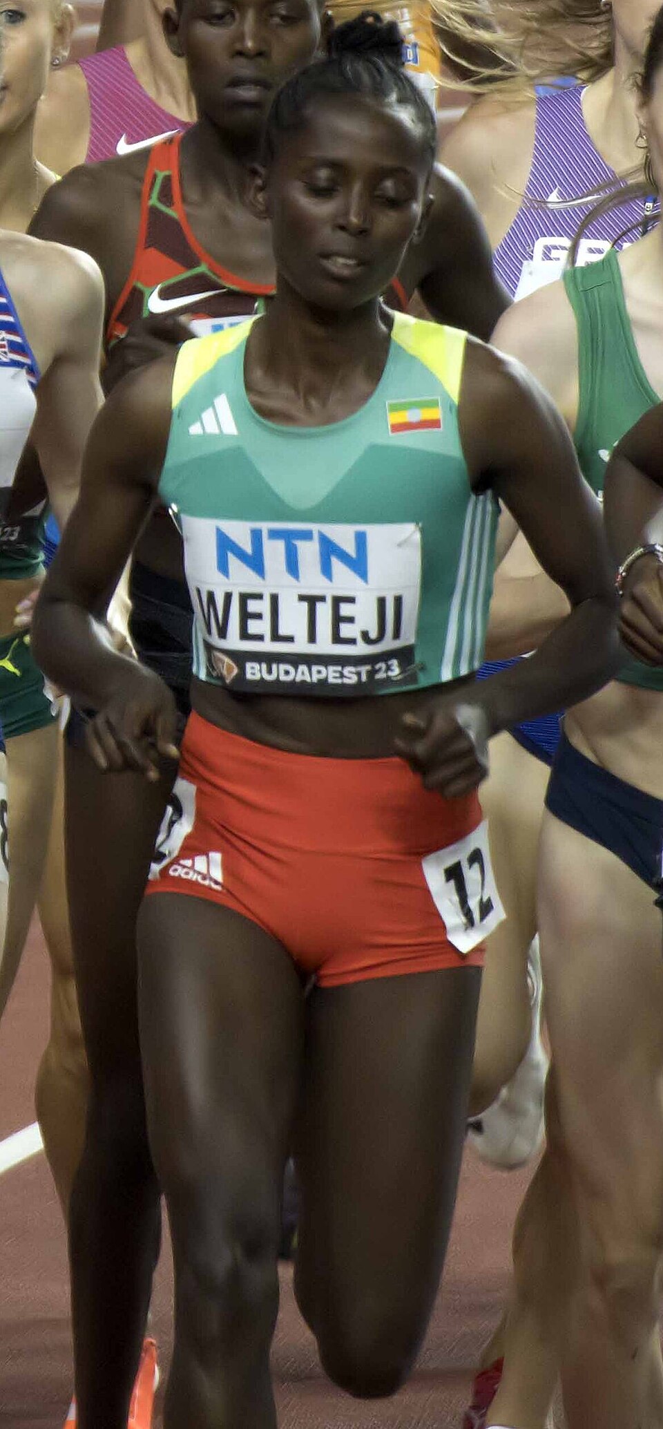 Welteji