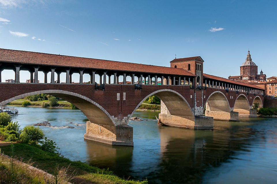 Will Pavia