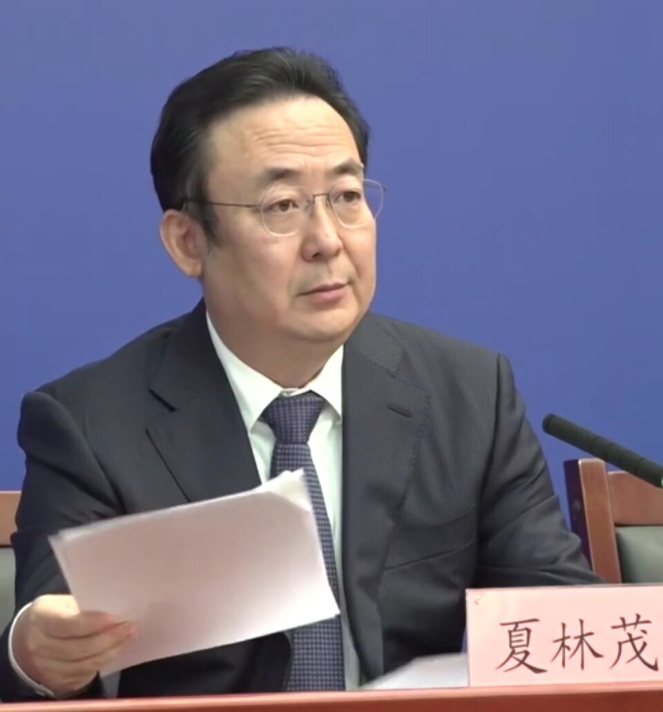 Xia Linmao