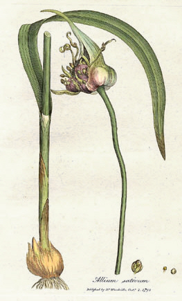 Xiang Da