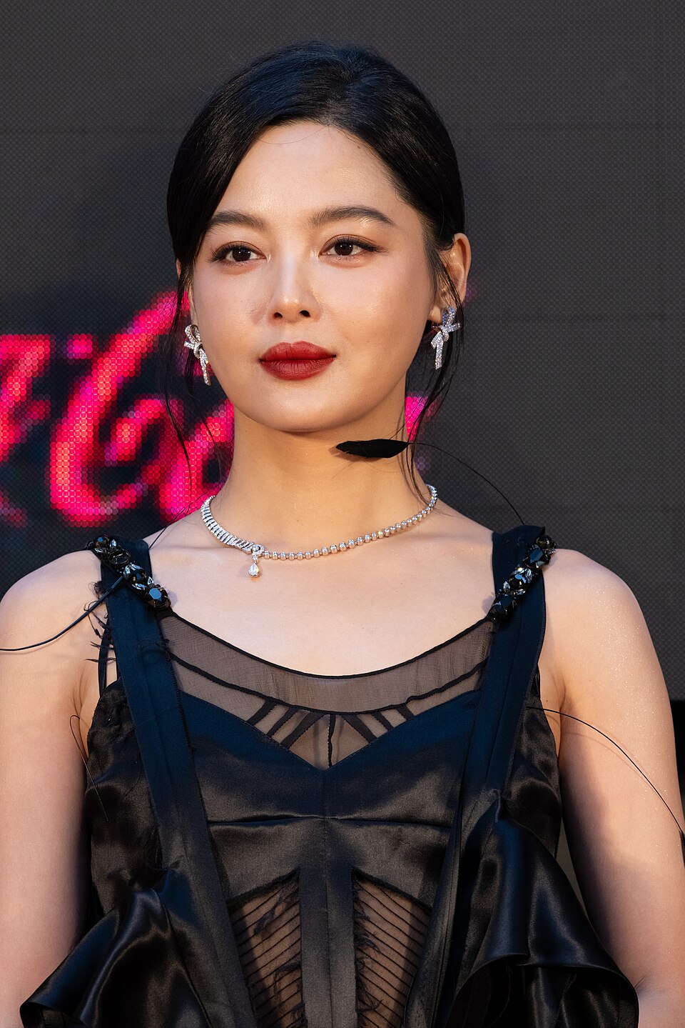 Xin Zhilei
