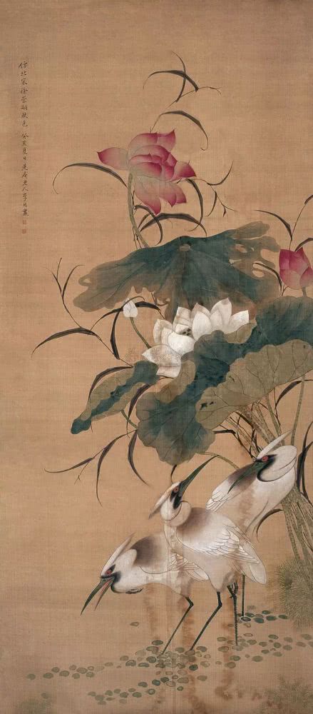 Xu Nüshi
