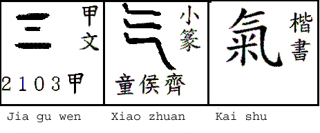 Xue Qi