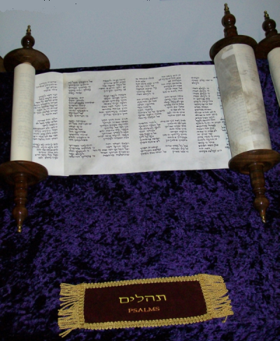 Yael Ben Ezra Moshe