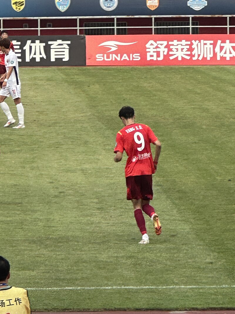 Yang Xudong
