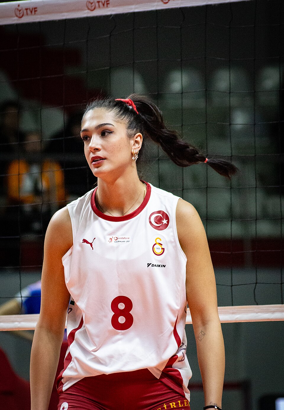 Yasemin Aydın