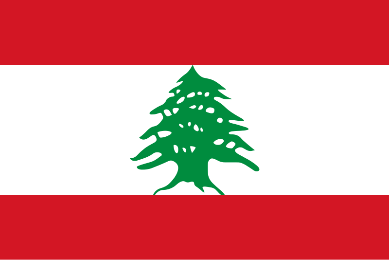 Yasser Salem Al-Saadi