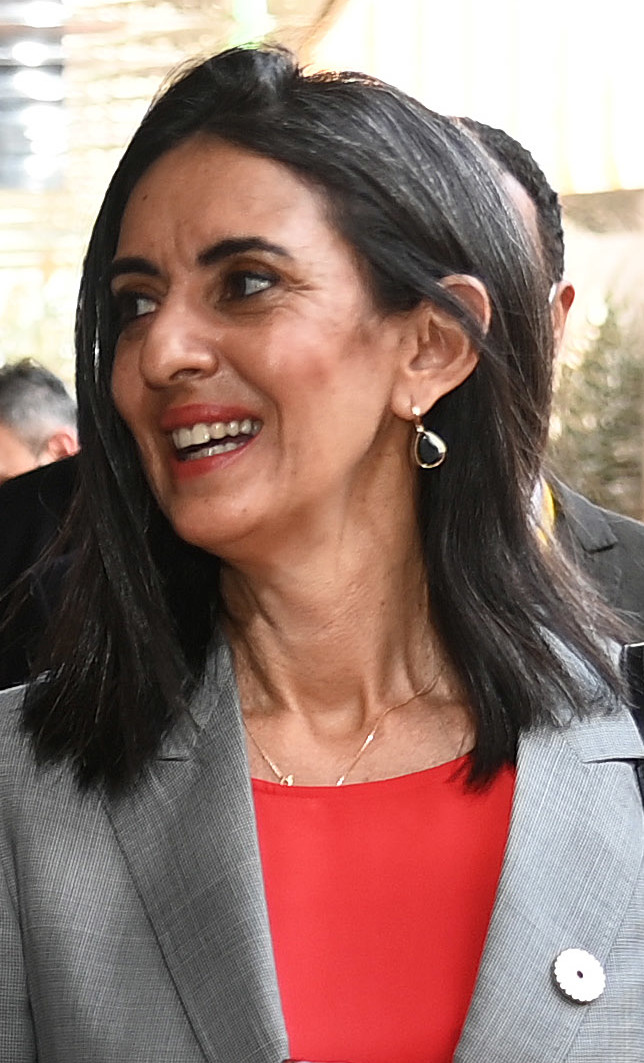 Yassine Saâdeddine