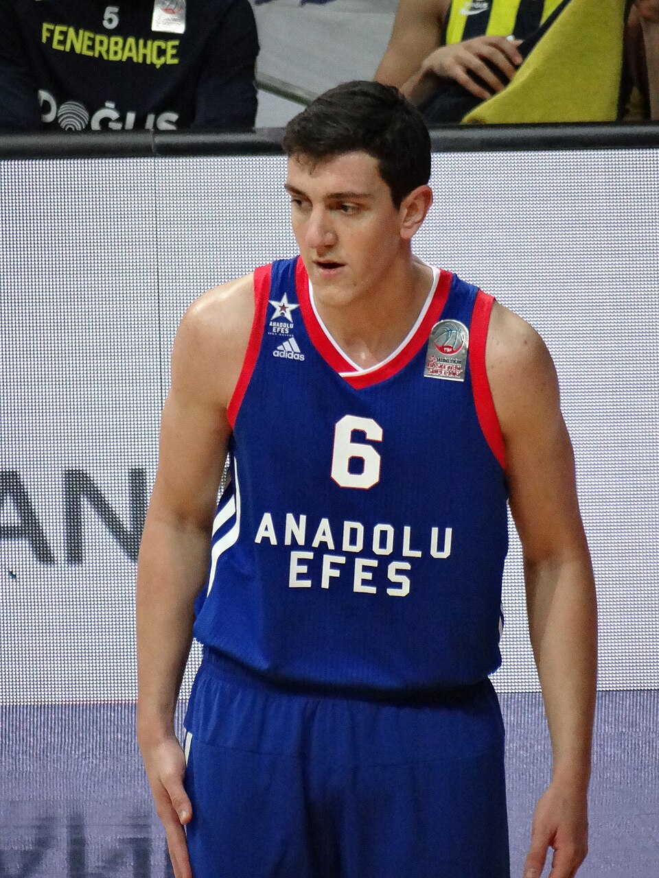 Yigitcan Saybır