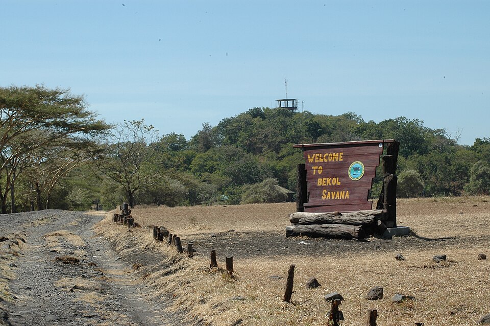 Yusuf Rio Wahyu Prayogo