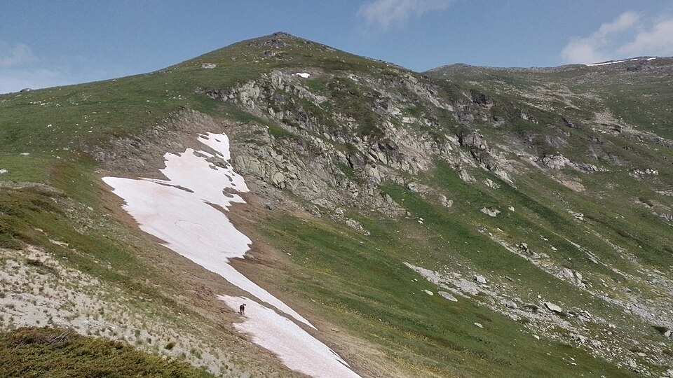 Zalina