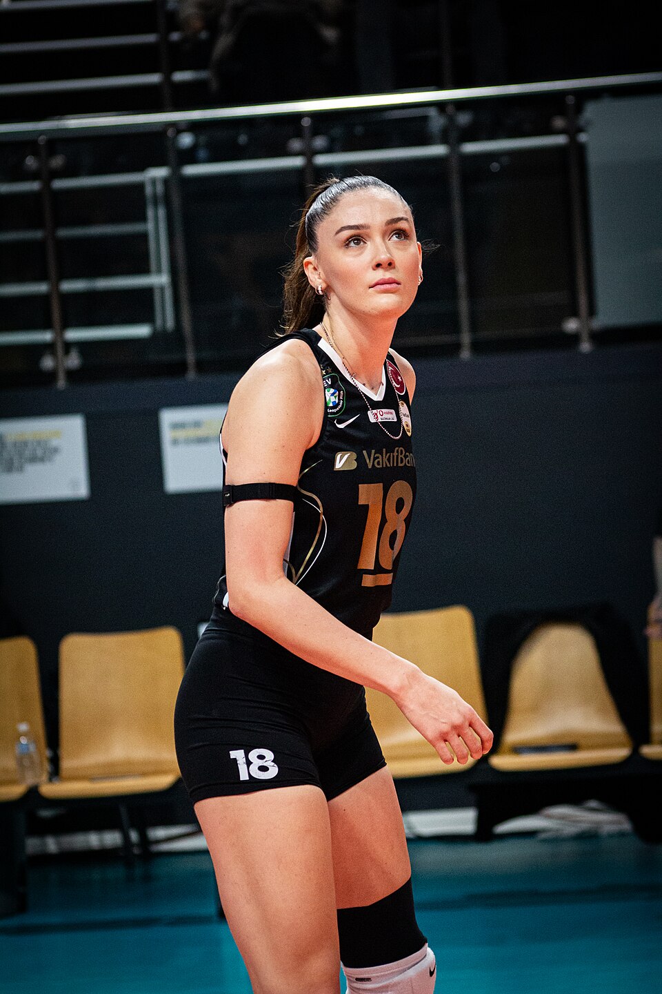 Zehra A.