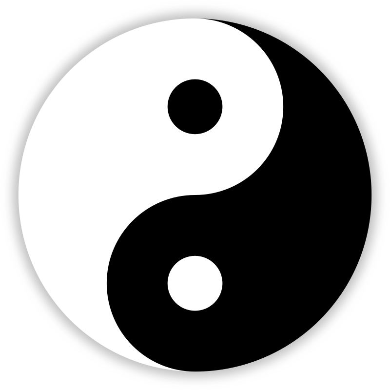Zeng Qi Yin