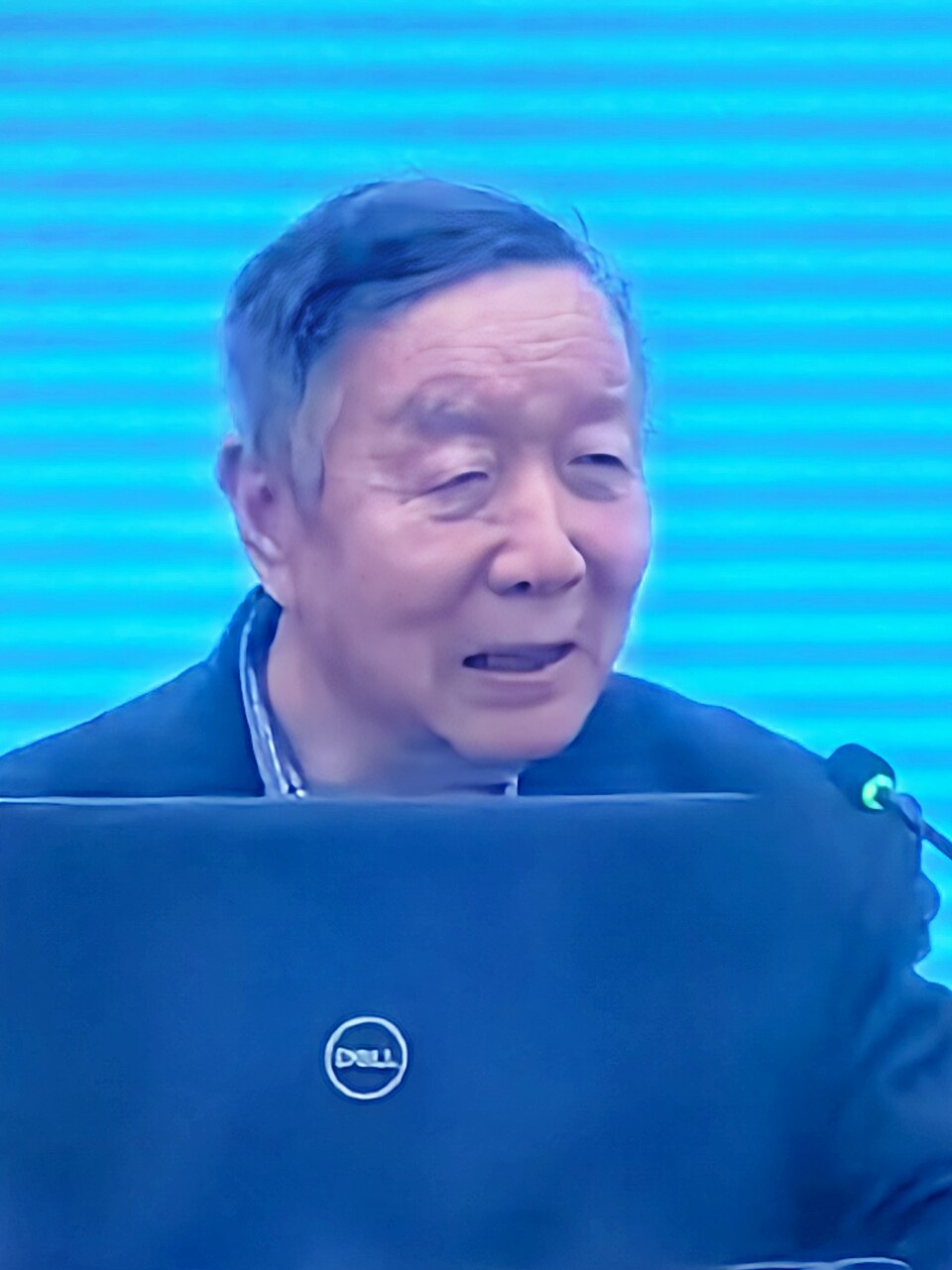 Zheng Xinmiao