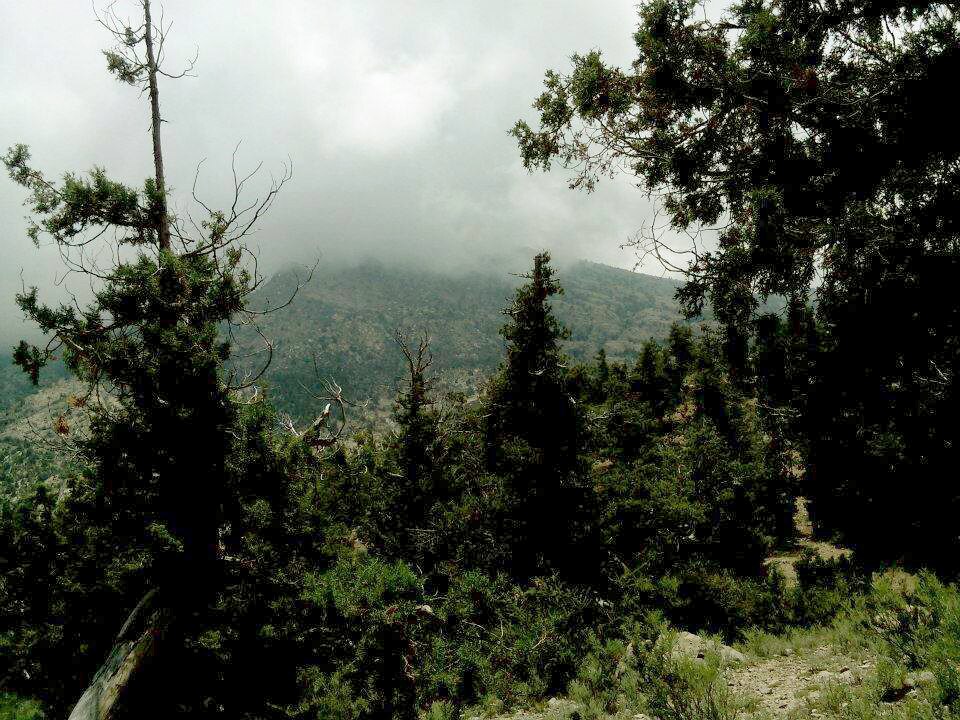 Ziarat Khan
