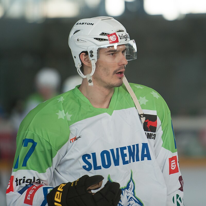 Žiga Pavlin