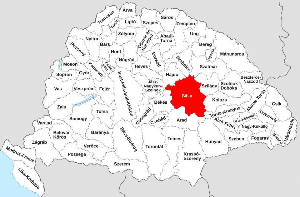 Zsoldos Dávid