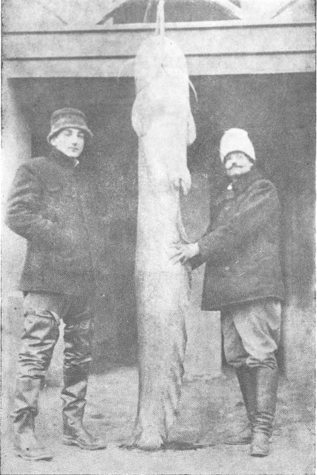Đorđe Vojvodić