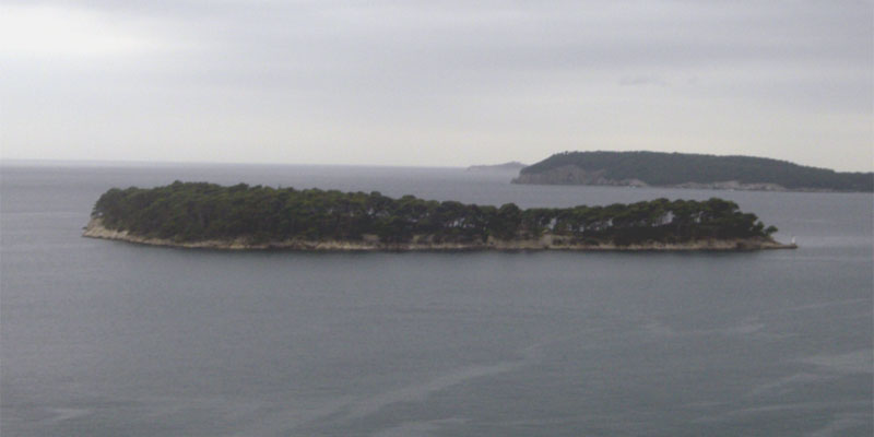 Đuro Perica