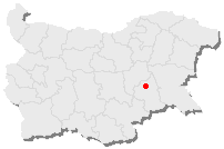 Диляна Иванова