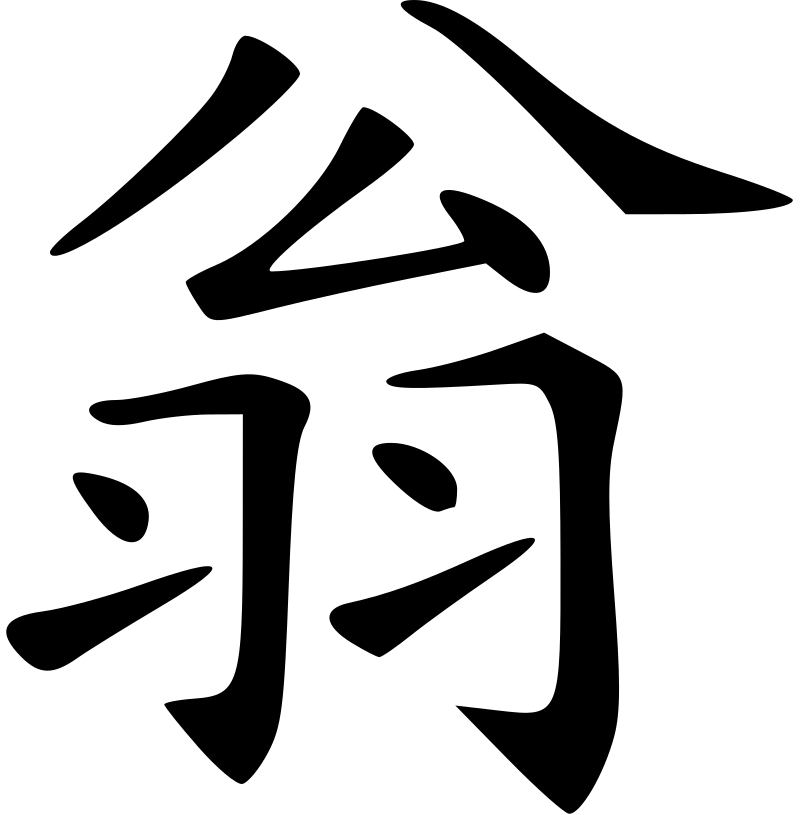 翁虹
